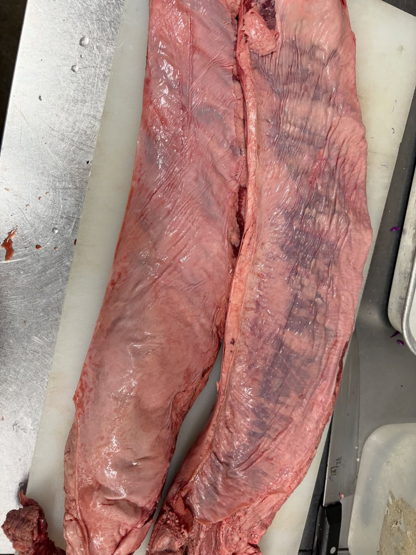 【やっぱでかい肉は興奮する🤩🍖】