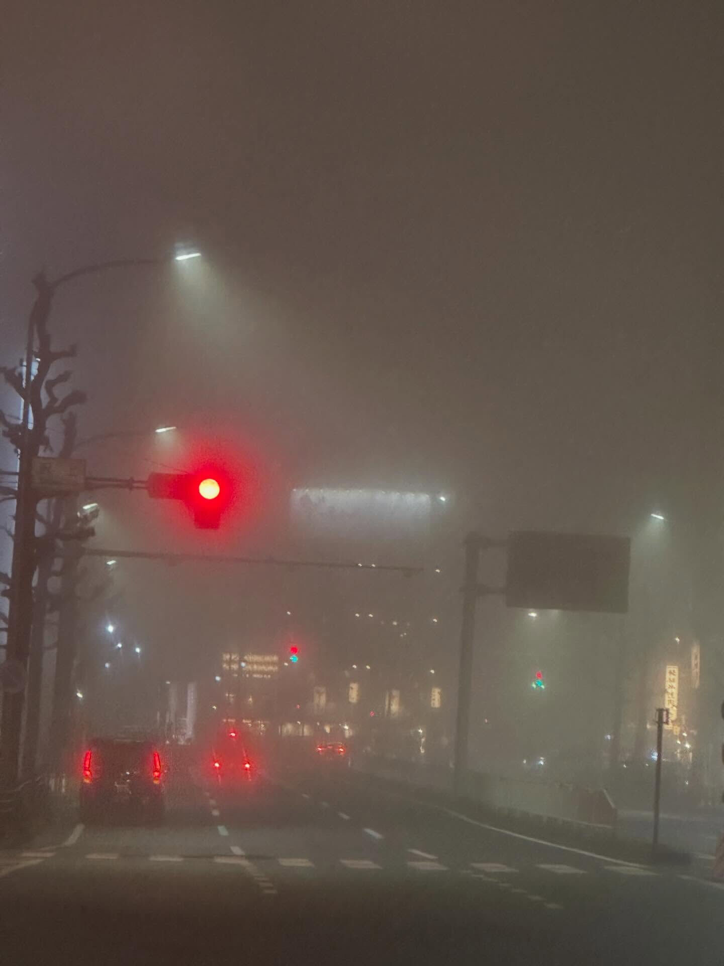 【霧が😶‍🌫️】