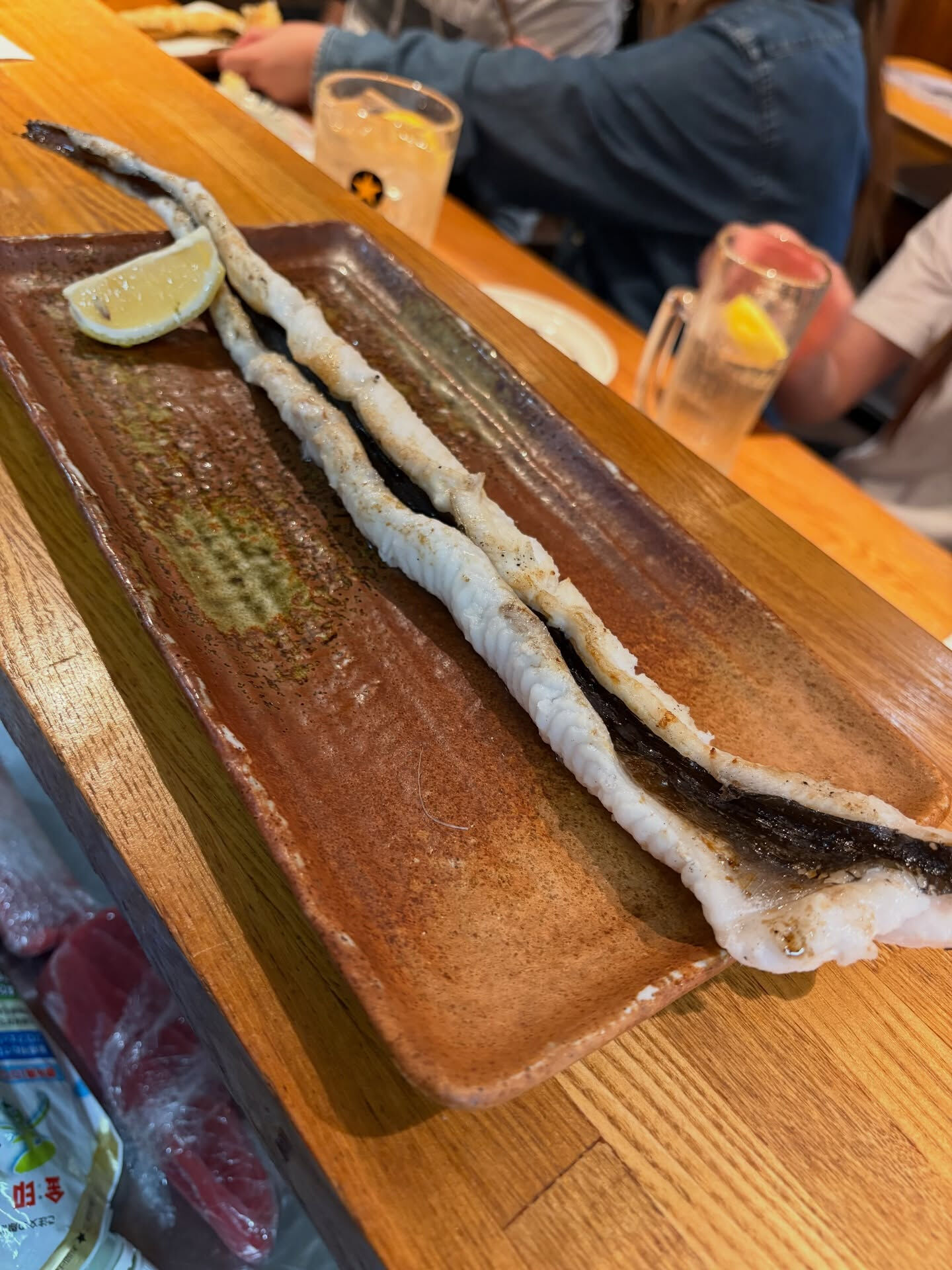 【だいちゃんの釣果魚】
