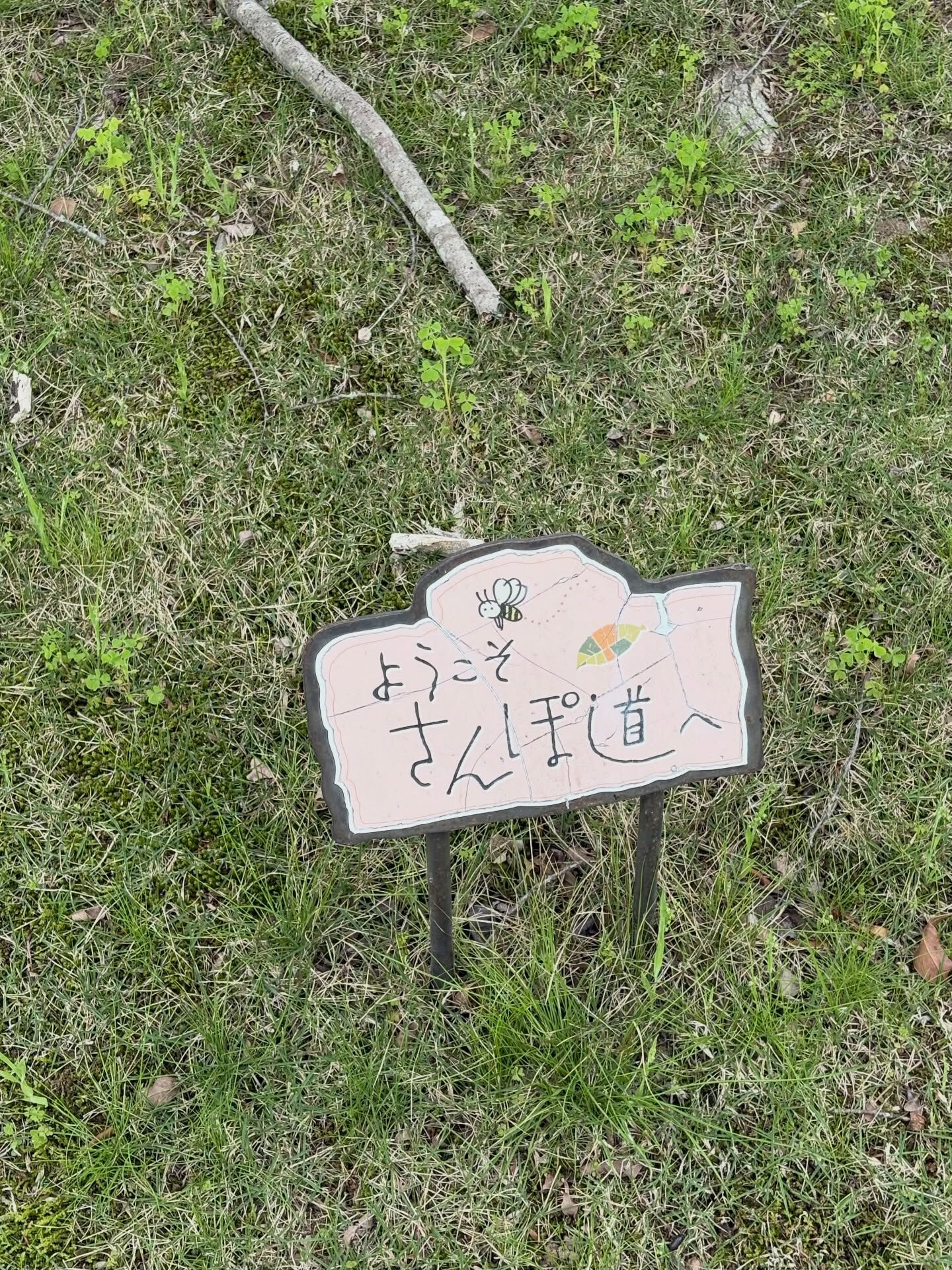 【やっぱり自然が1番☝️】