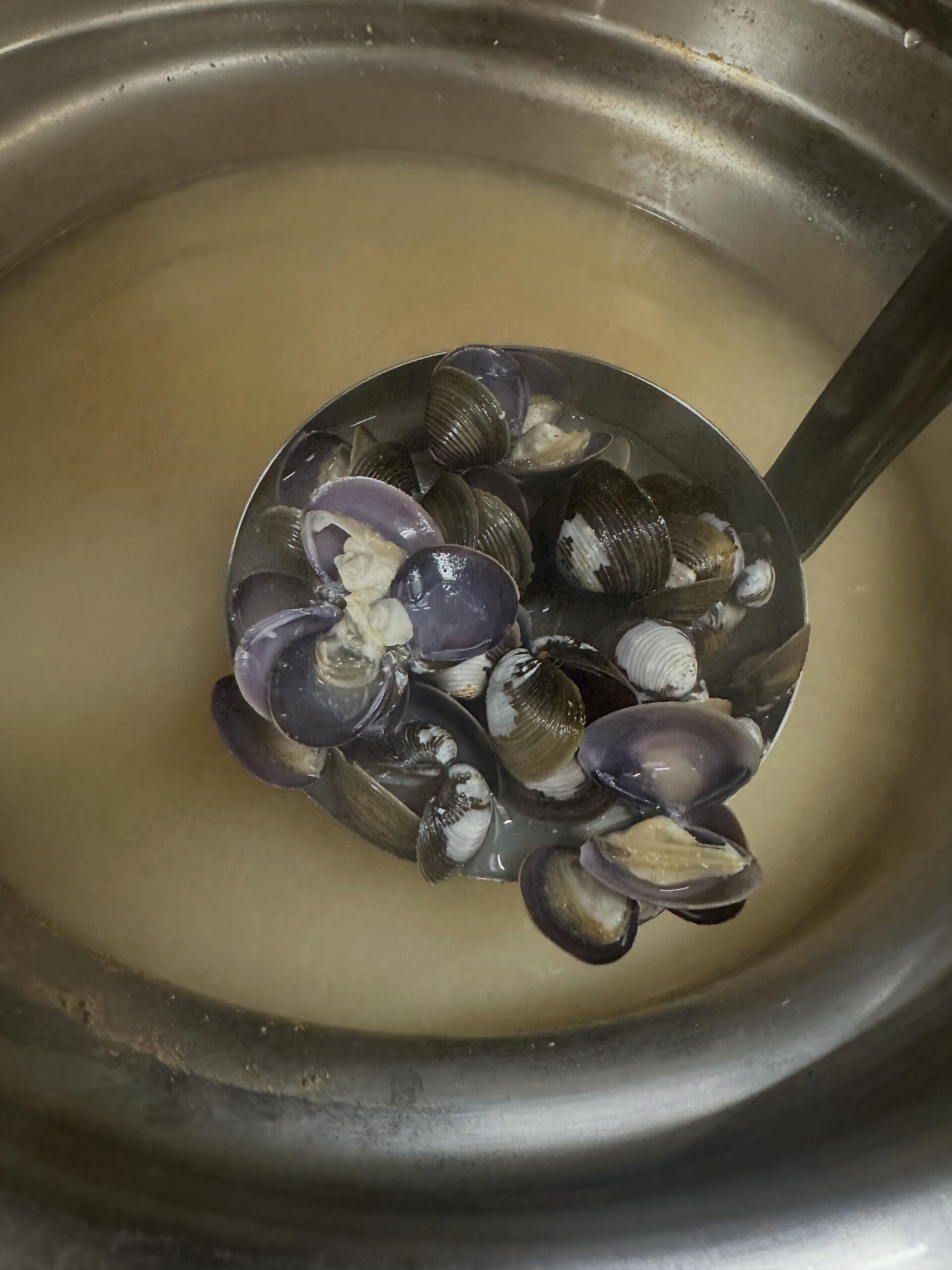 【飲み過ぎた次の日はシジミの味噌汁】