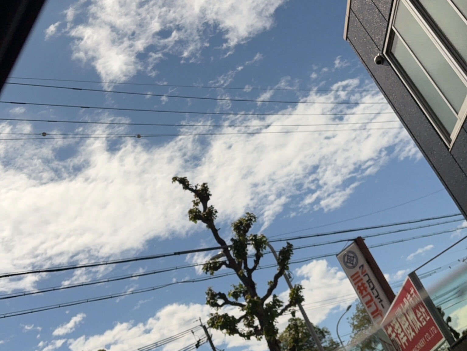【いい天気になったのになぁ】