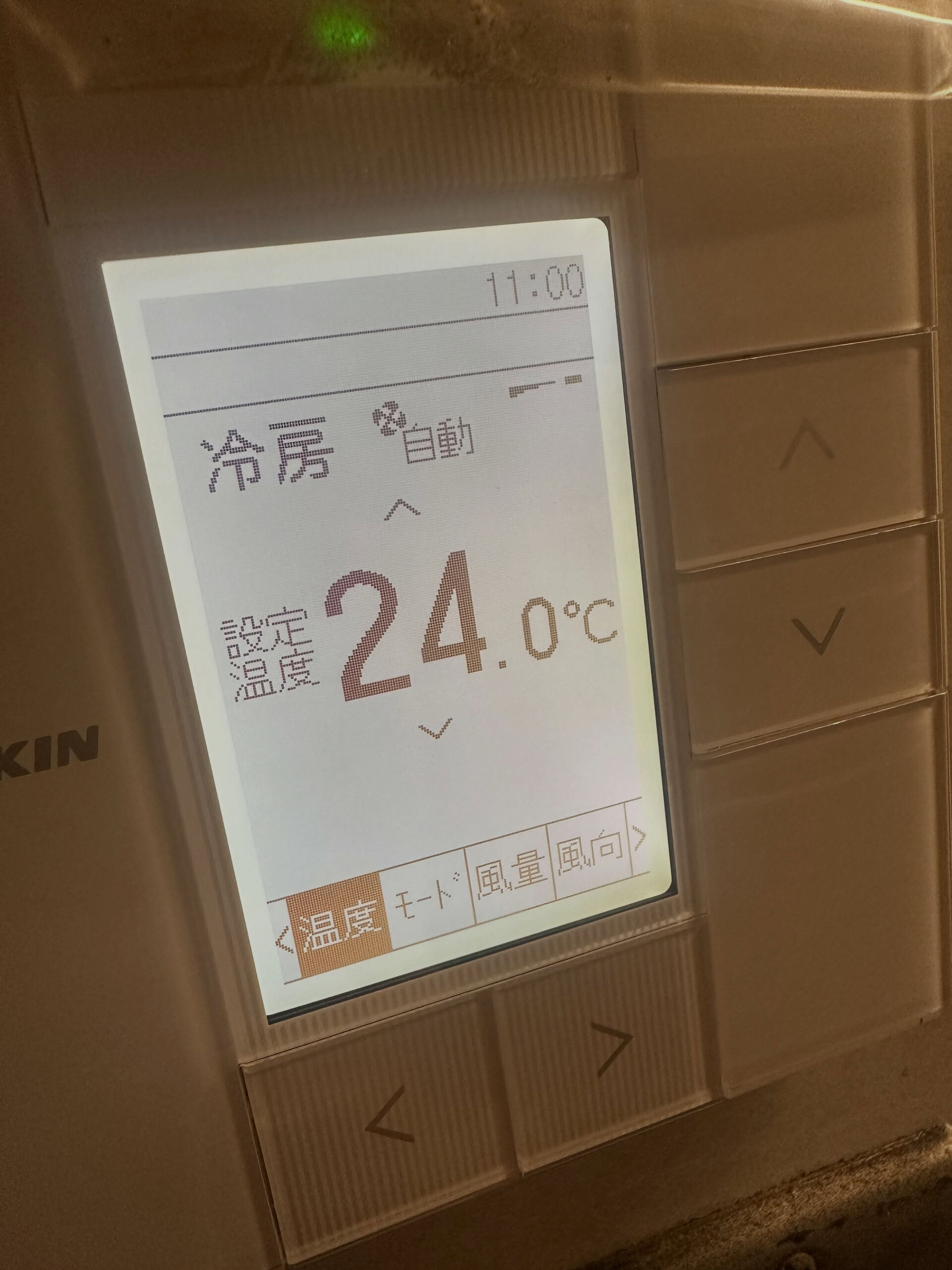 【復活‼️】