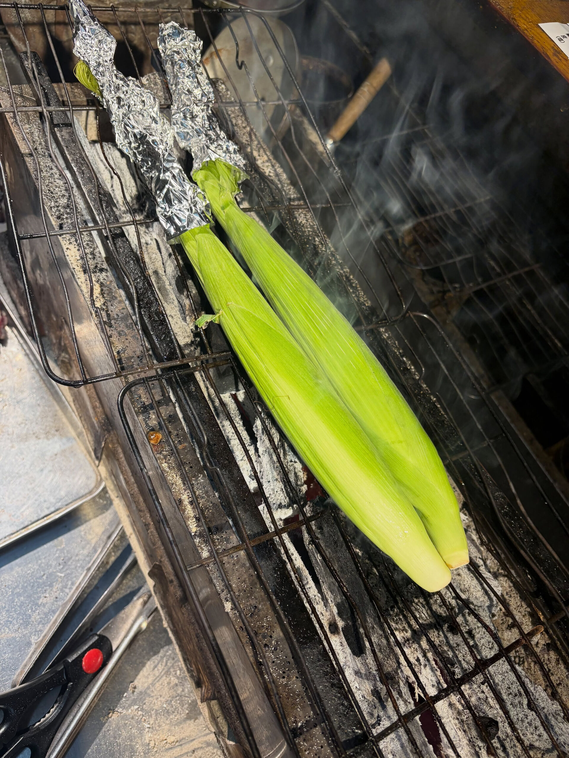 【ヤングコーーーーン🌽】