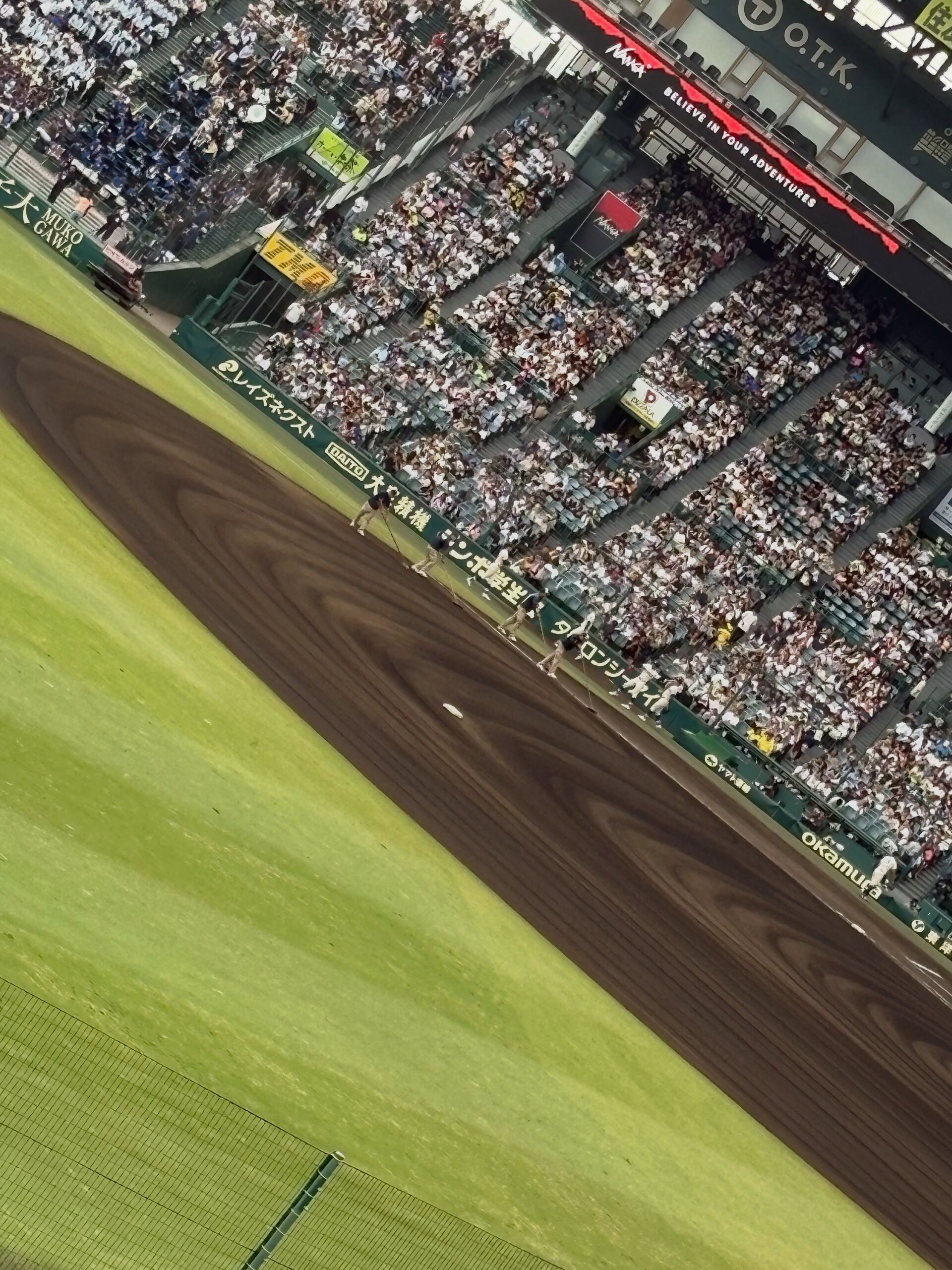 【初めての甲子園⚾️】