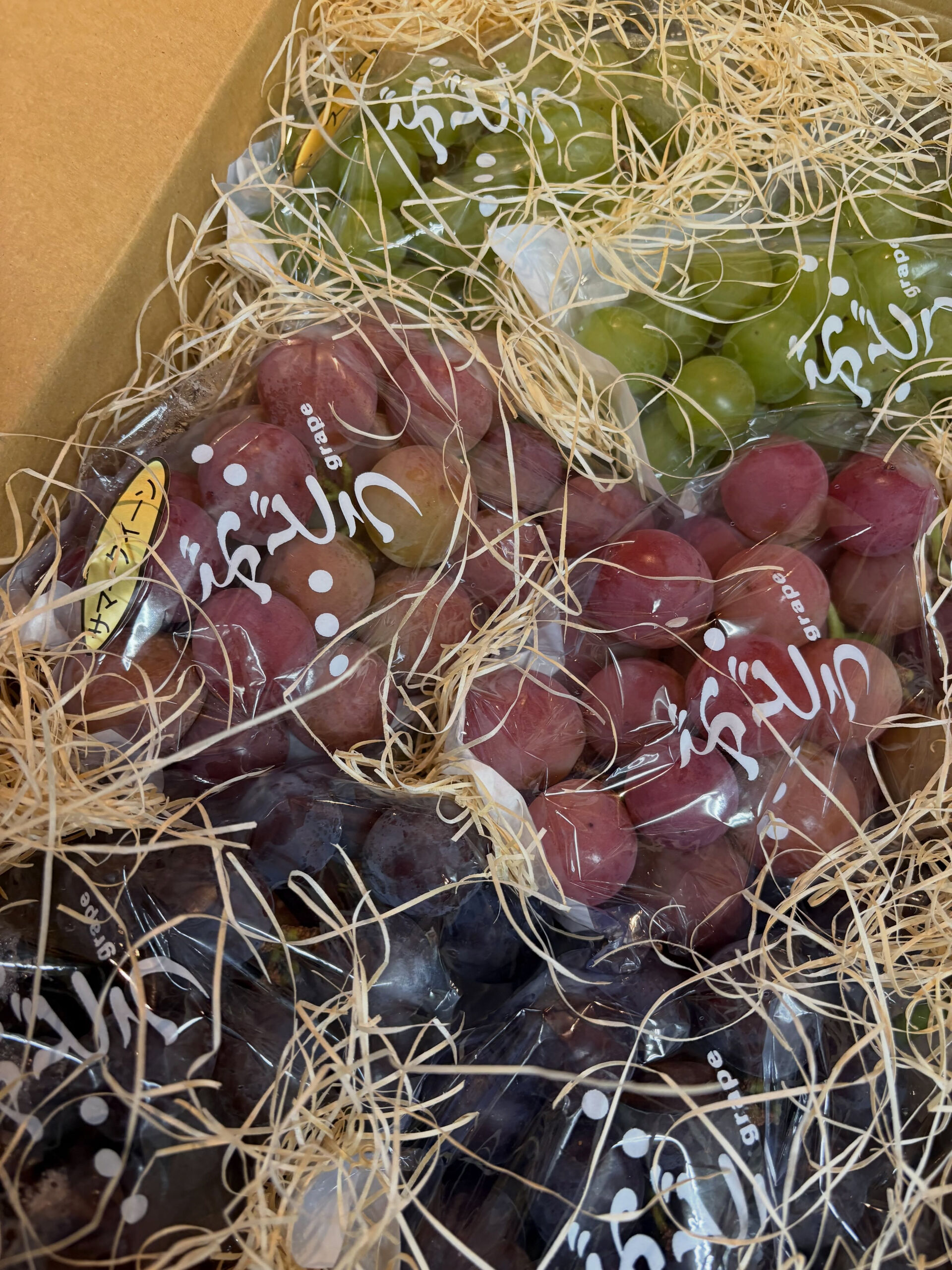 【今年も小牧から🍇】