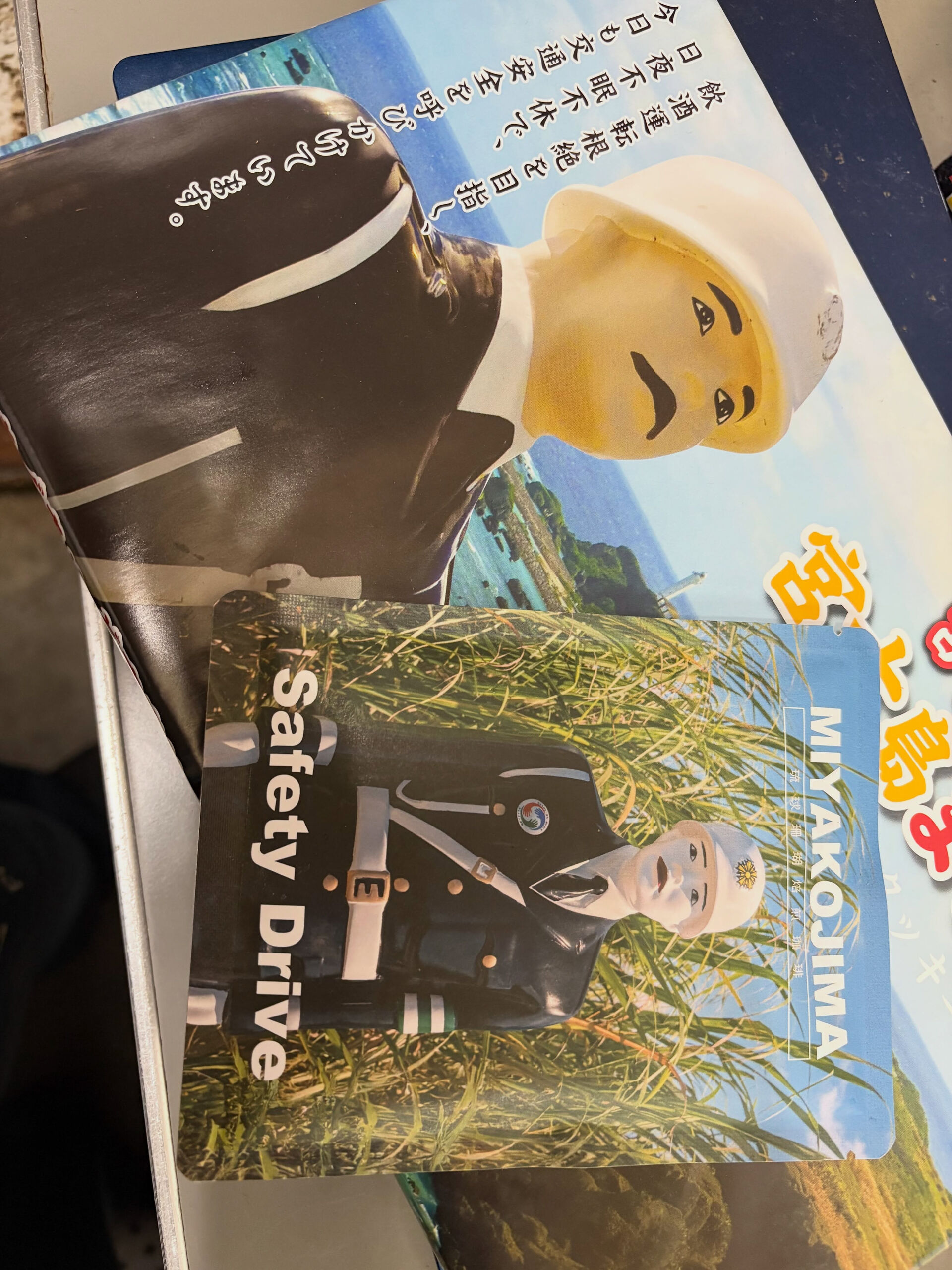 【ちゃんぷもまもるくんに守られる🤣】