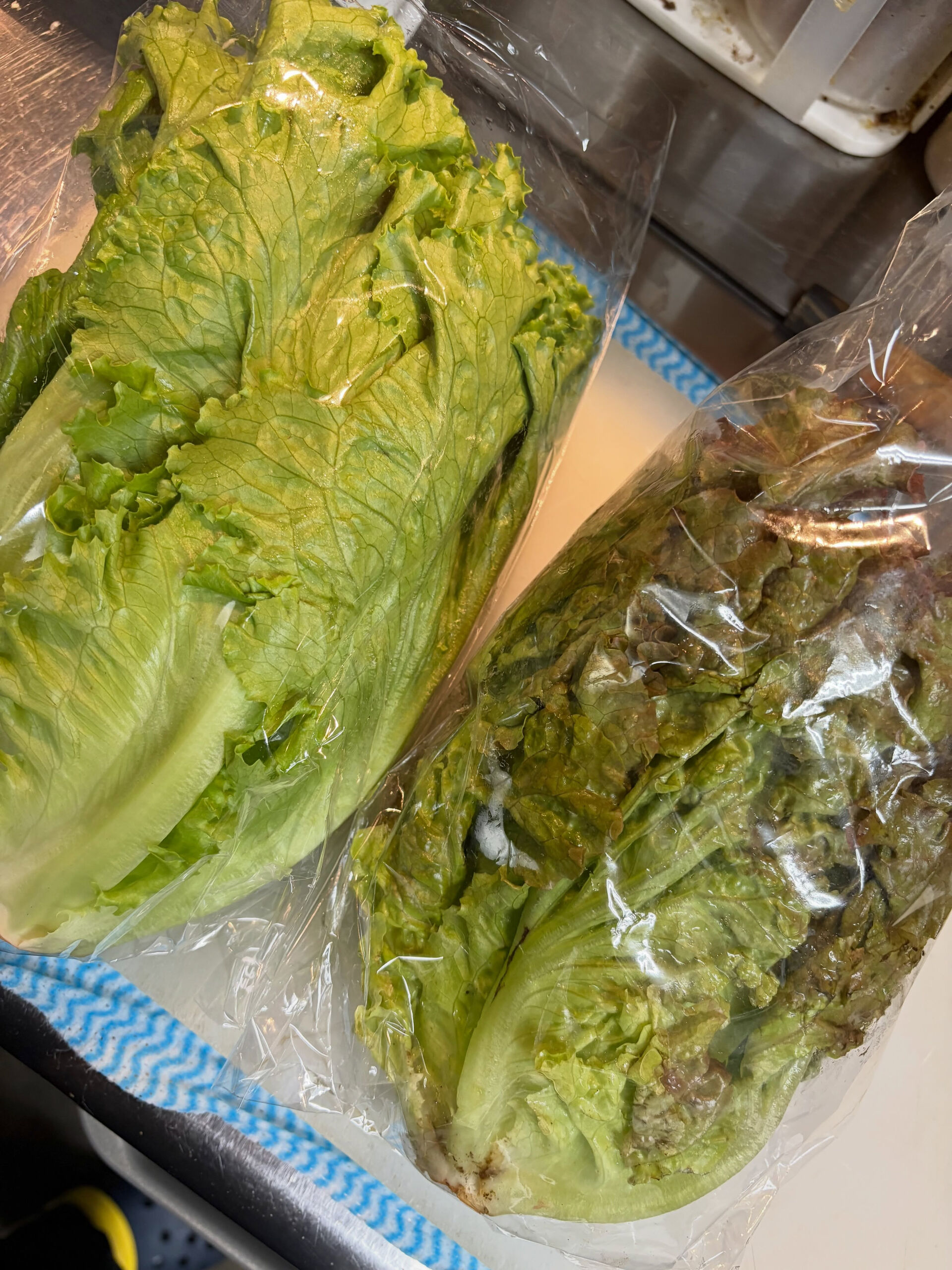 【おいおいうそだろぅ】